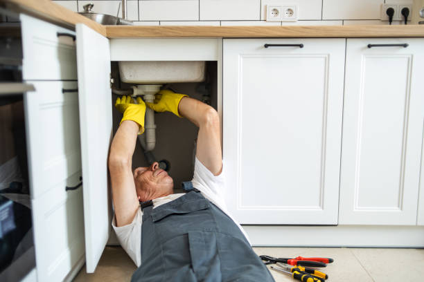 Best Clogged Drain Plumber  in Sulligent, AL